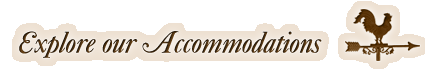 Explore our Accommodations