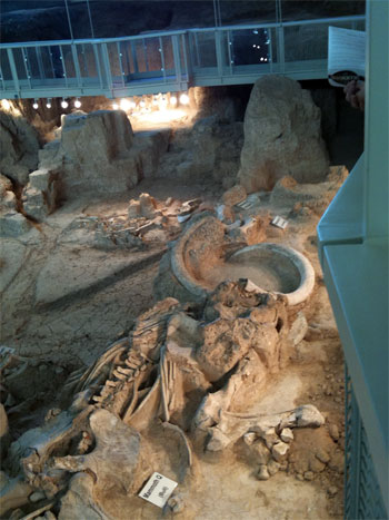 Waco Mammoth Site